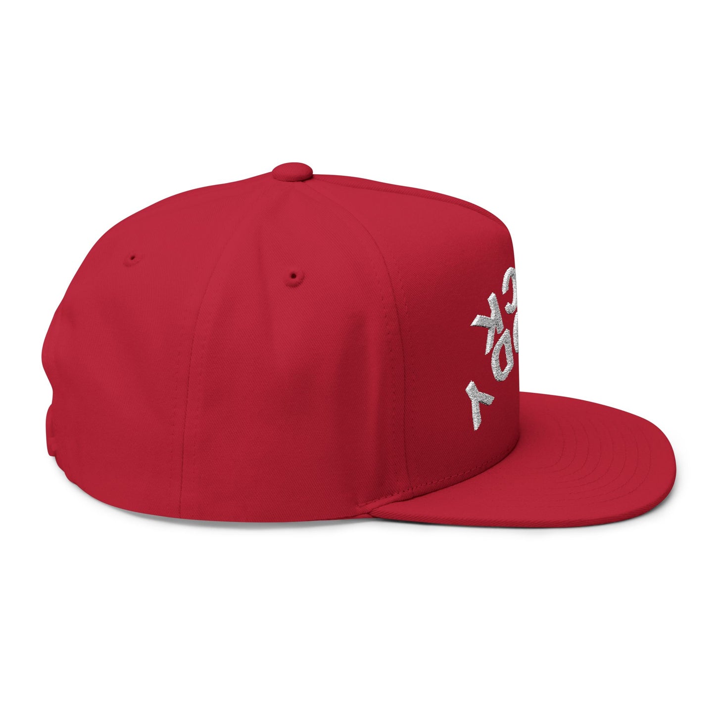 CaddySack "INVERTED" FLAT BILL HAT